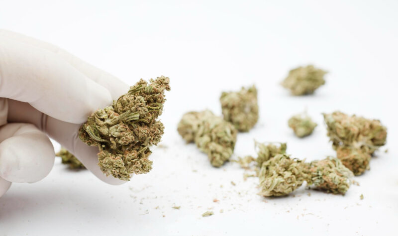 How to Partner with A Weed Packaging Company to Meet Imposing Deadlines